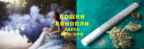 шишки Горнозаводск