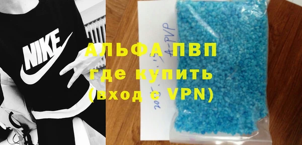 прущие грибы Горняк