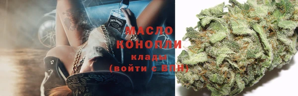 шишки Горнозаводск