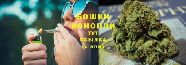шишки Горнозаводск