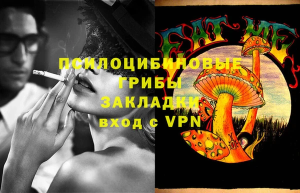 шишки Горнозаводск