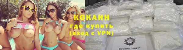 шишки Горнозаводск
