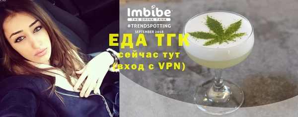 индика Фурманов