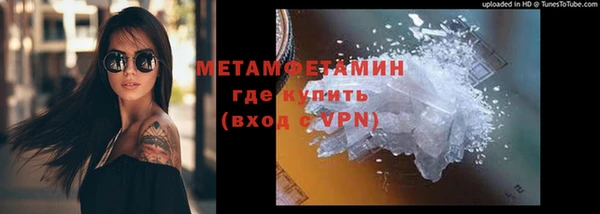 прущие грибы Горняк