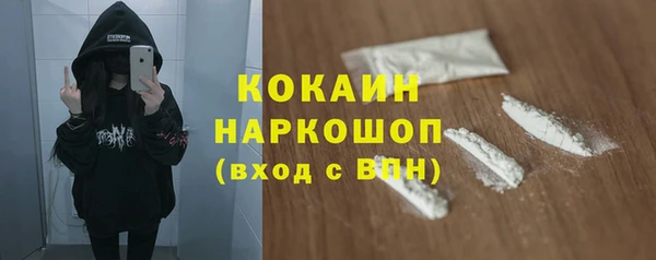шишки Горнозаводск