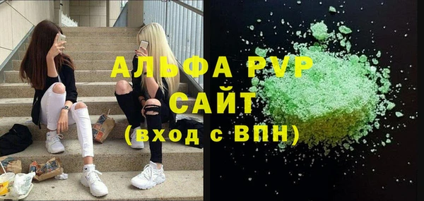 прущие грибы Горняк