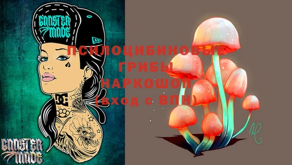 прущие грибы Горняк