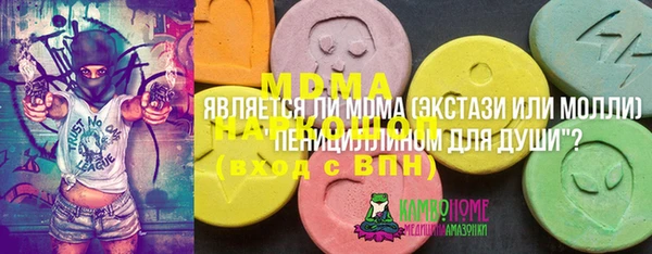 прущие грибы Горняк