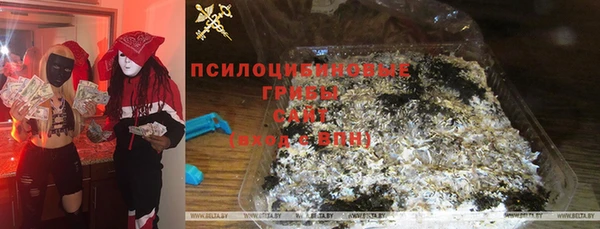 прущие грибы Горняк