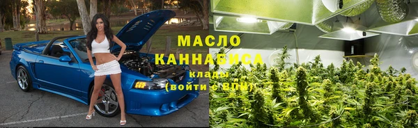 прущие грибы Горняк