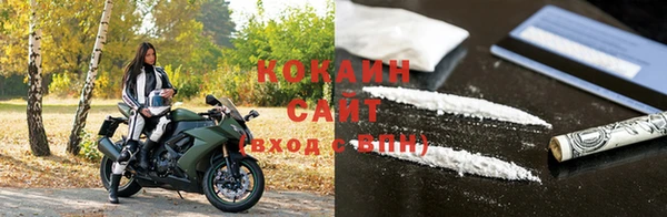 прущие грибы Горняк