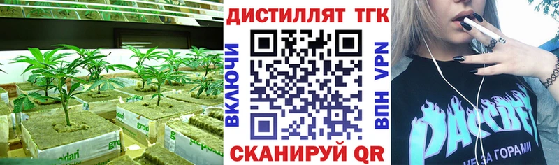 купить закладку  Емва  Дистиллят ТГК концентрат 