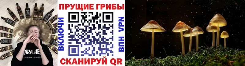 даркнет сайт  Емва  Галлюциногенные грибы Magic Shrooms 